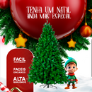 Árvore de Natal Premium 2,10m com 1000 Galhos